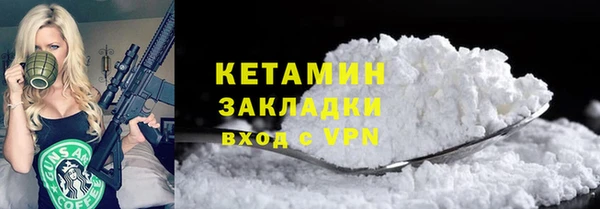 крисы Няндома