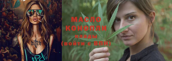 крисы Няндома