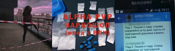 крисы Няндома