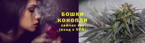 крисы Няндома