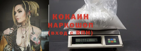 крисы Няндома