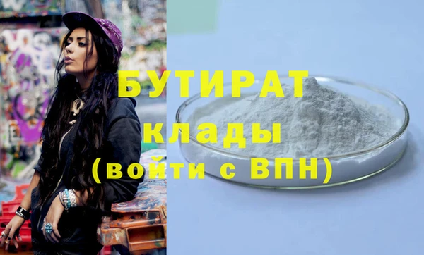 крисы Няндома