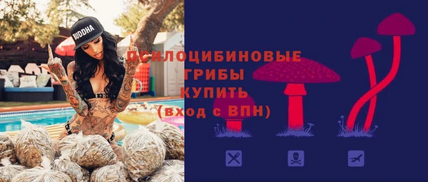 spice Нягань