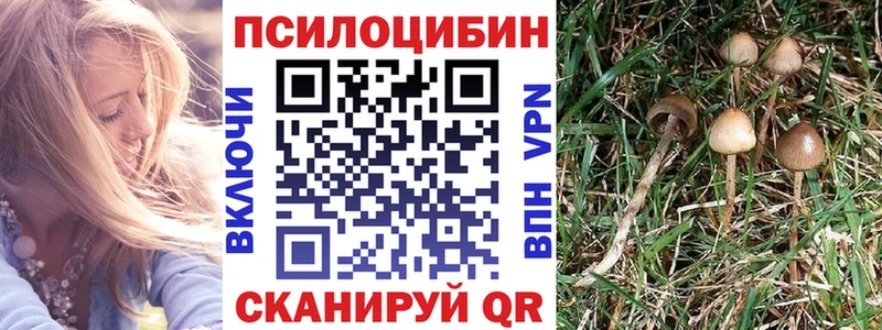 Псилоцибиновые грибы MAGIC MUSHROOMS  цены наркотик  Бавлы 